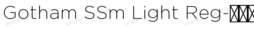 Gotham SSm Light Reg字体转换